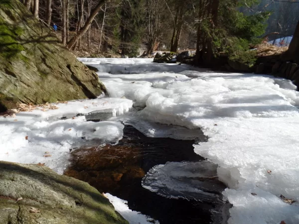 Schwarzwassertal im Frühling
