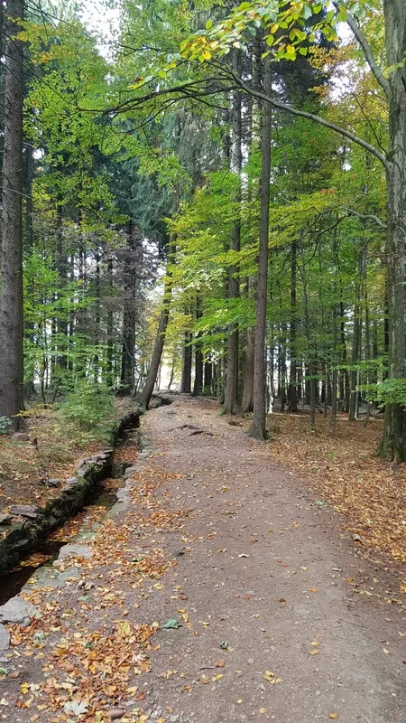 Katzensteingebiet - perfekt für eine Wanderung