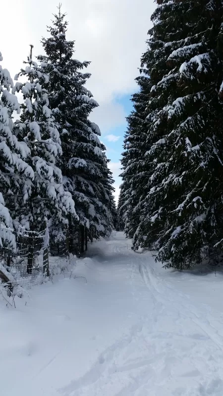 Loipe bei Pobershau