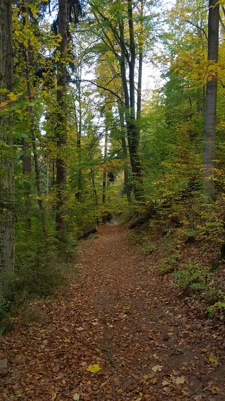 Schwarzwassertal - perfekt für eine Wanderung