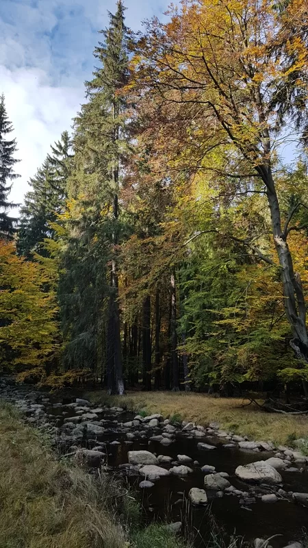 Schwarzwassertal - perfekt für eine Wanderung