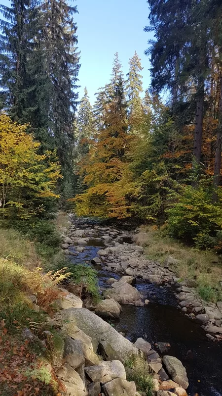 Schwarzwassertal - perfekt für eine Wanderung