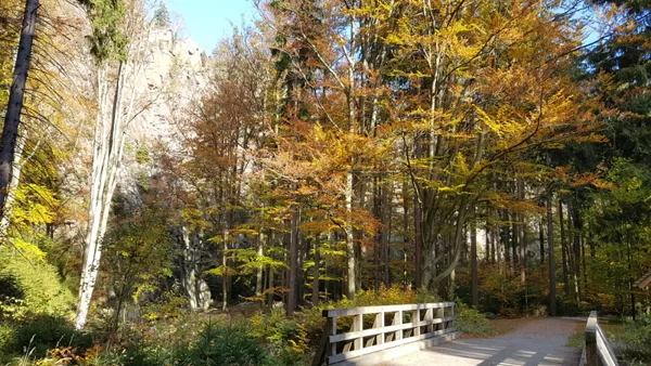 Schwarzwassertal - perfekt für eine Wanderung