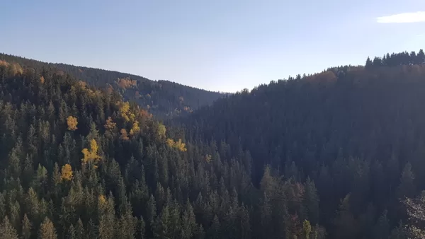 Katzenstein Pobershau